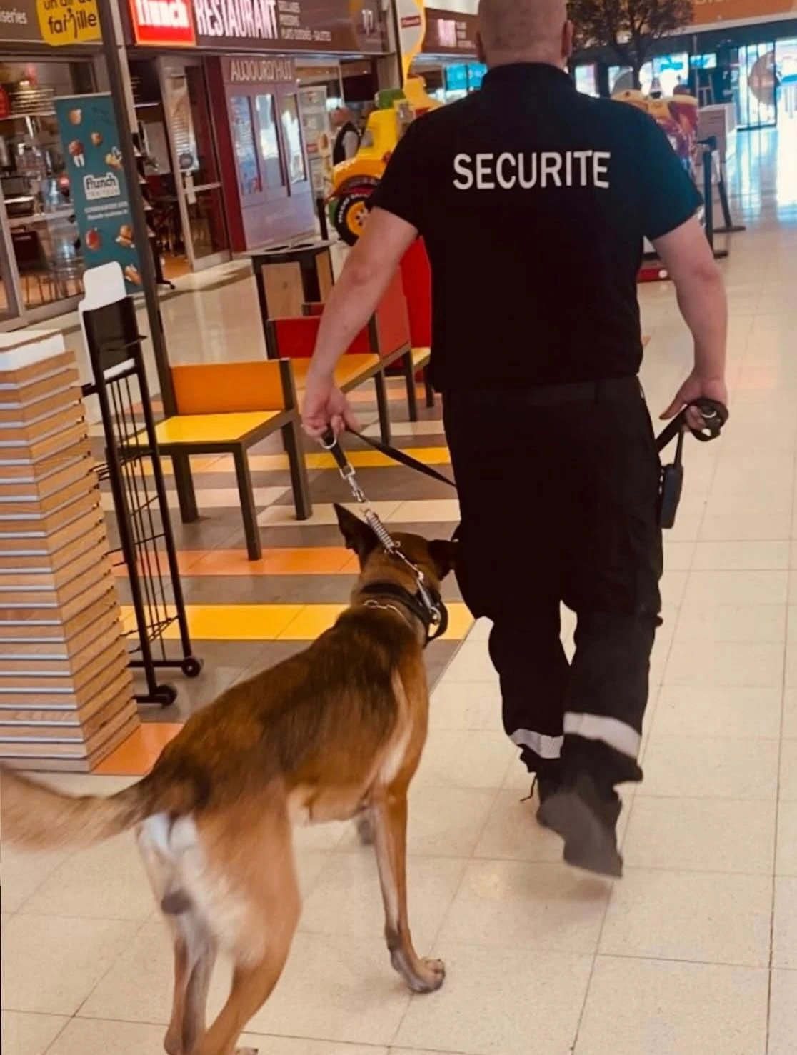Agent Force Protect Sécurité Privée en mission de sécurité cynophile et agents maître-chien en île-de-france – expertise force protect sécurité privée.